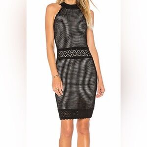 John+Jenn Bodycon Into The Nude Black Knit Halter Neck Dress  Size S